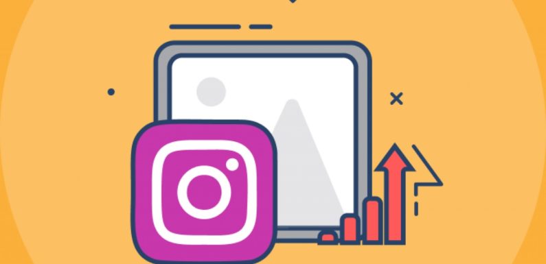 Accelerate Your Instagram Following with Purchased Followers