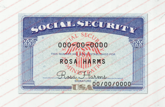 Know about different types of social security cards