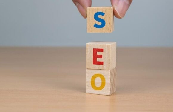 Top SEO Support in Edmonton That Actually Drives Growth